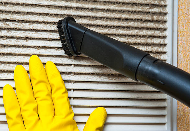 Best Air Vent Cleaning Services  in Sauk Vlage, IL